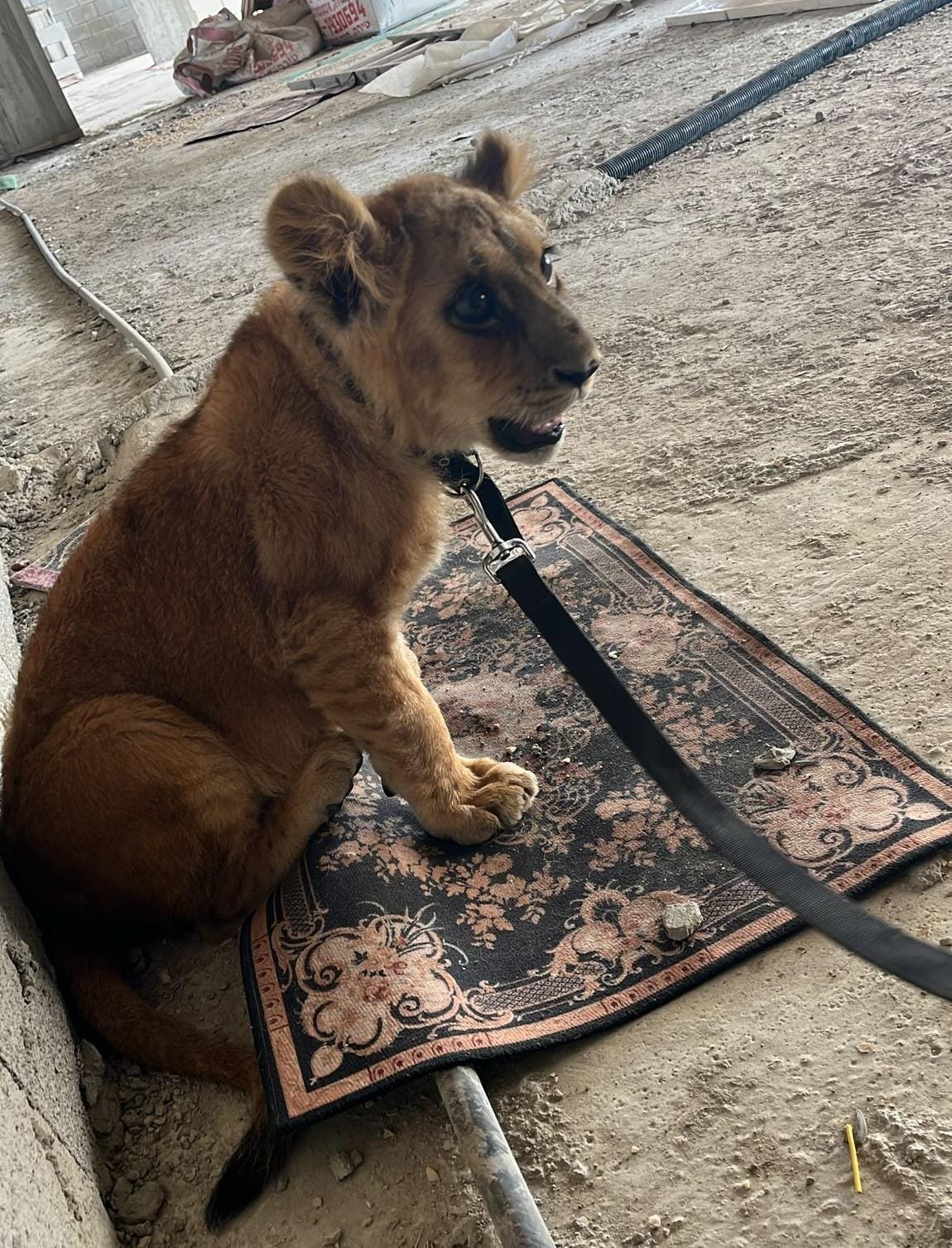 רשות הטבע והגנים ודוברות משטרת ישראל
