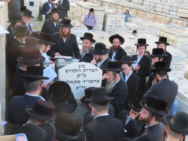 אלקנה קליין