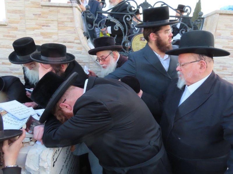 אלקנה קליין