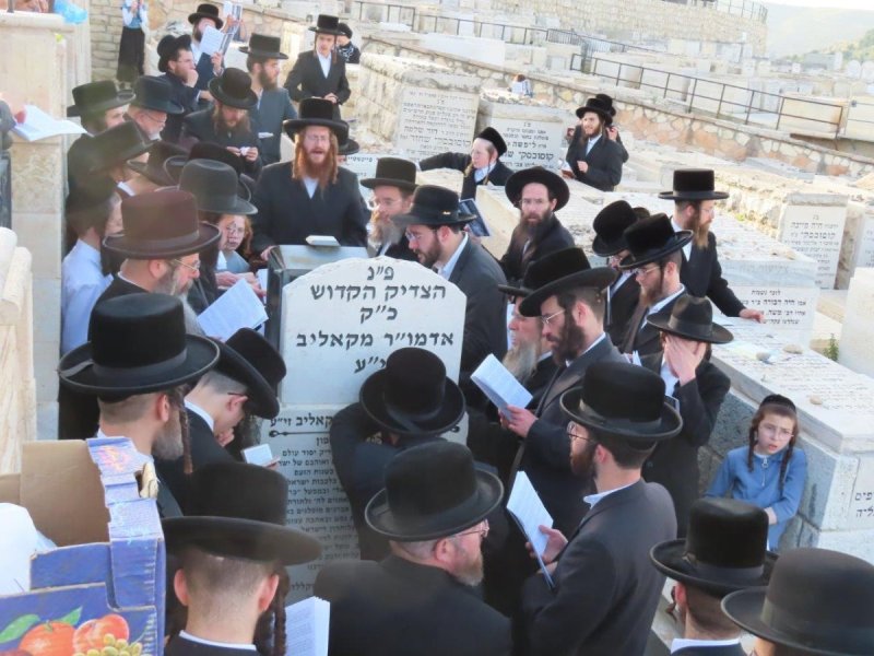 אלקנה קליין