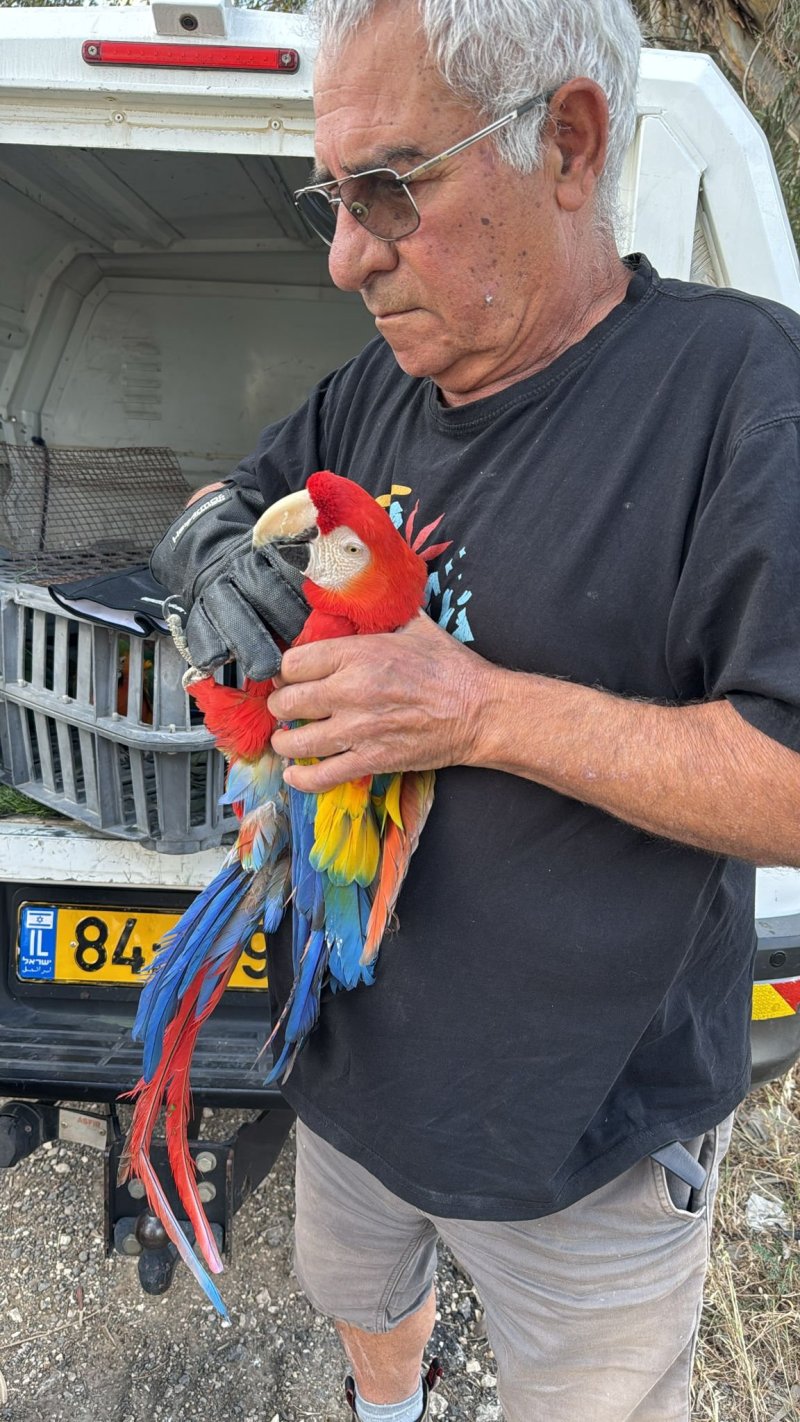 דוברות המשטרה