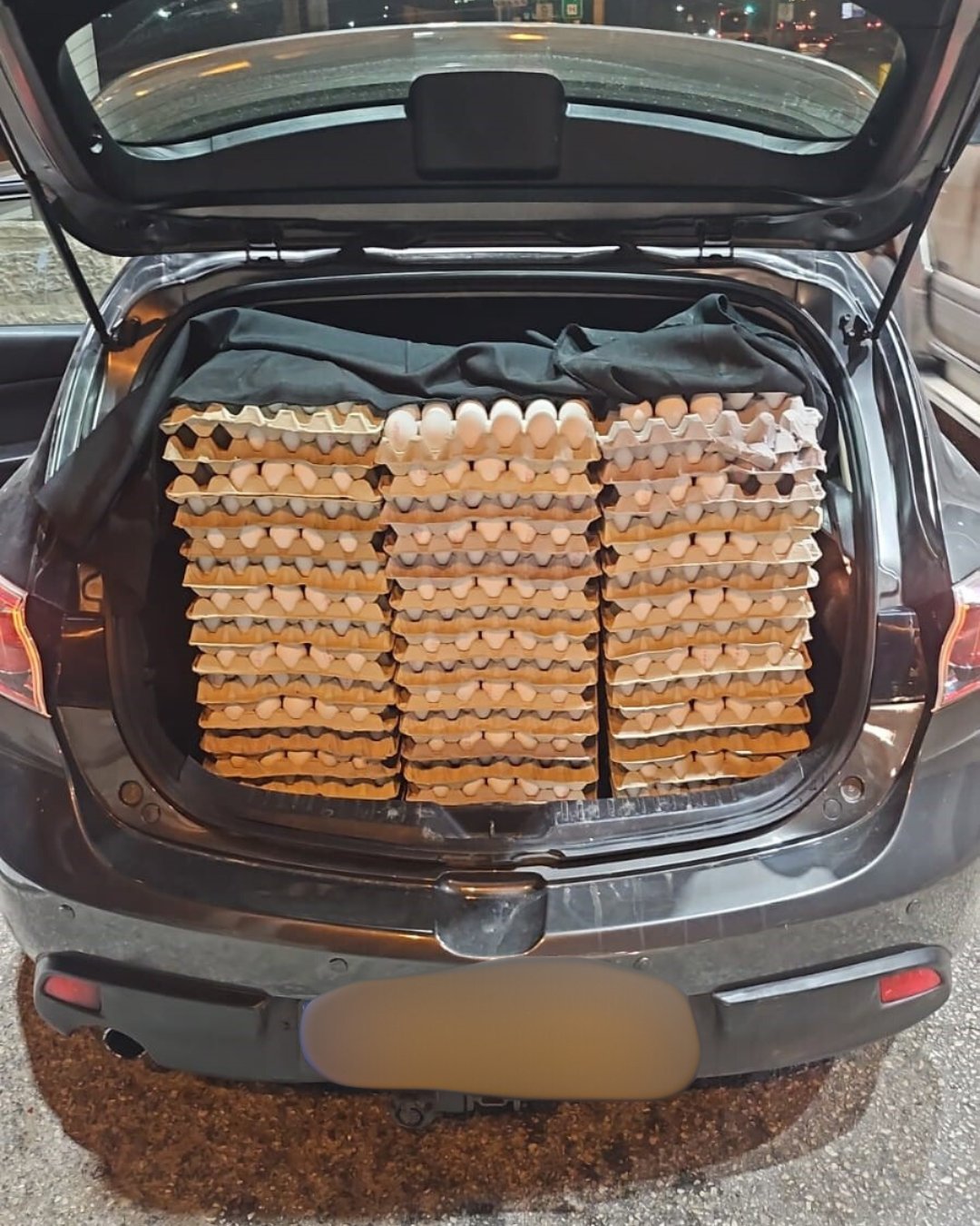 משרד החקלאות