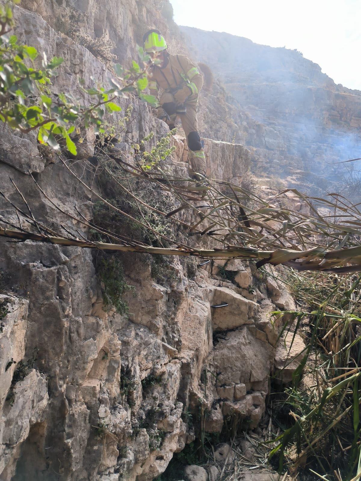 דוברות כבאות והצלה
