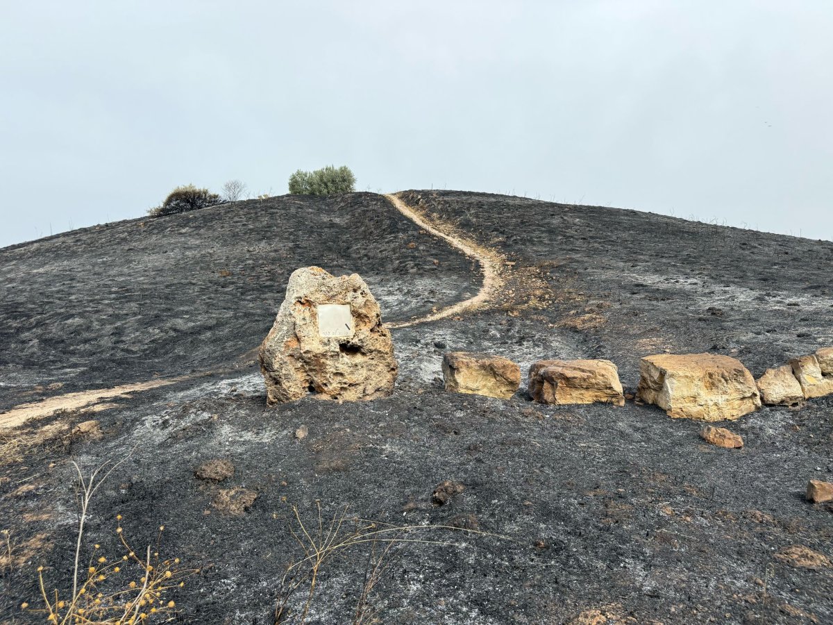 מועצה איזורית גזר