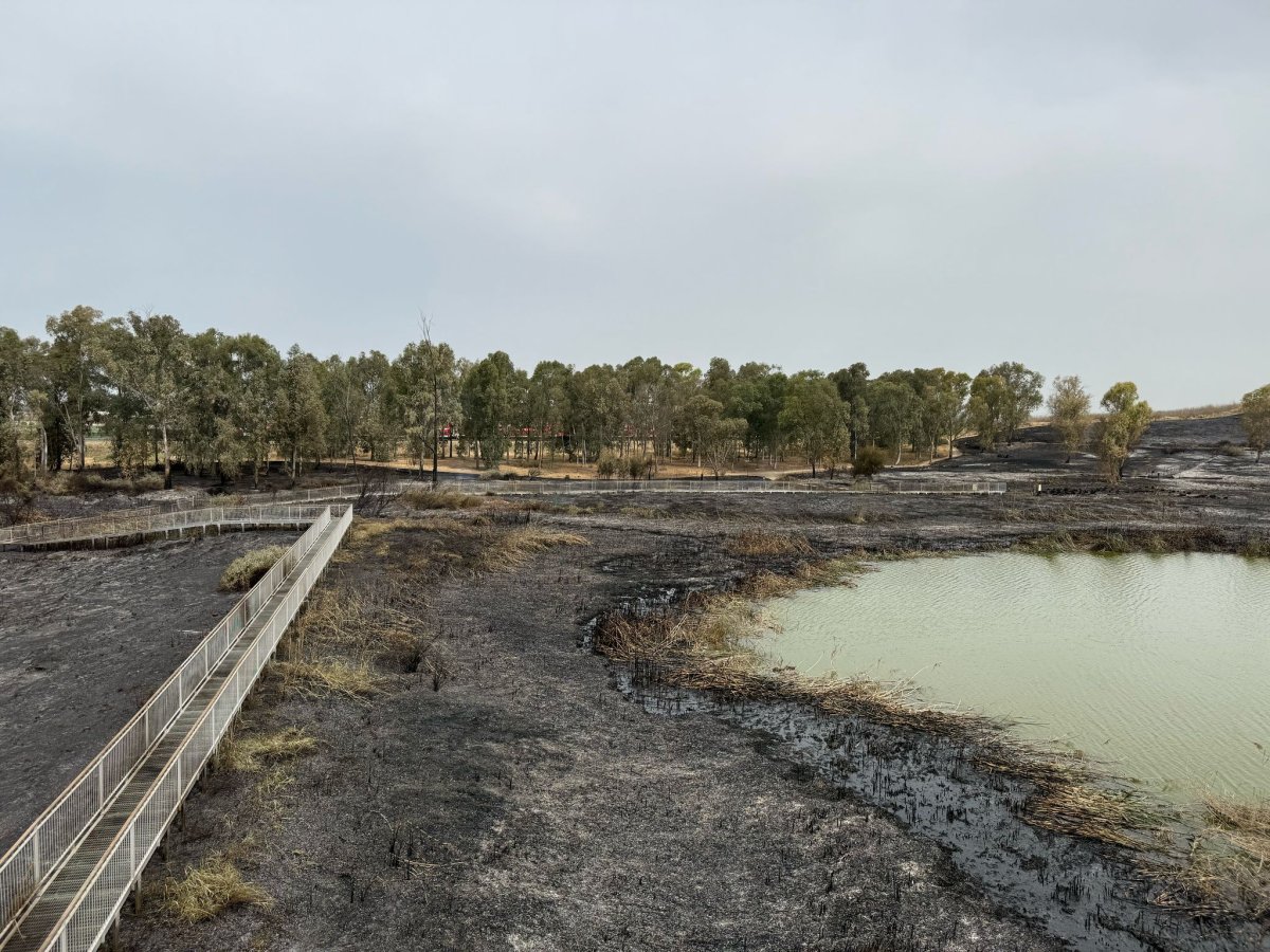 מועצה איזורית גזר