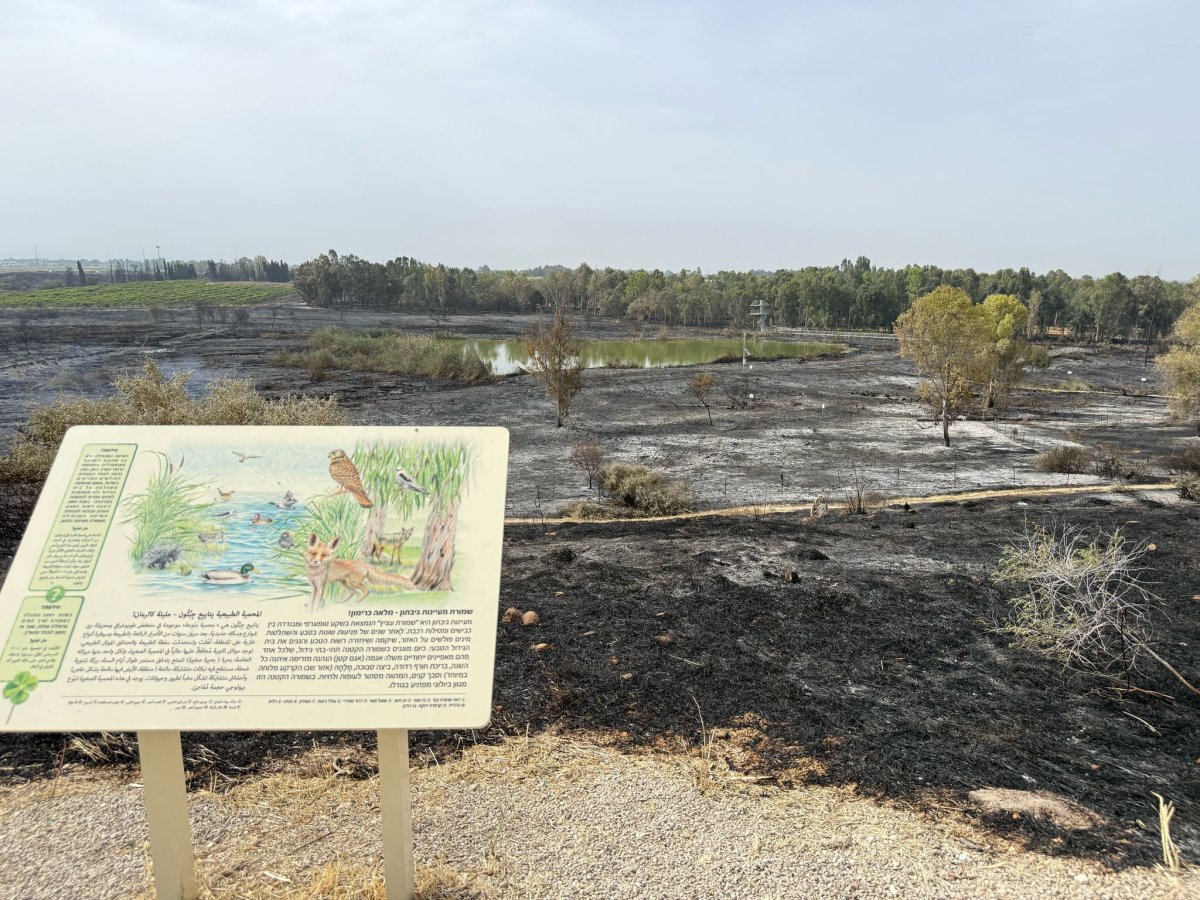 מועצה איזורית גזר