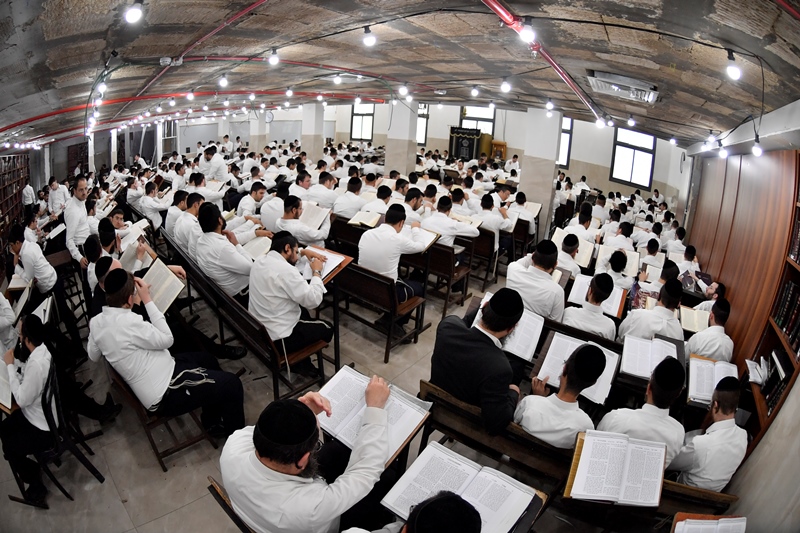 יהושע פרוכטר