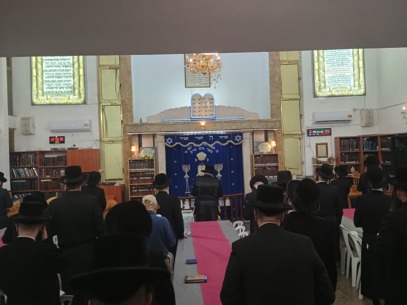 באדיבות המצלם