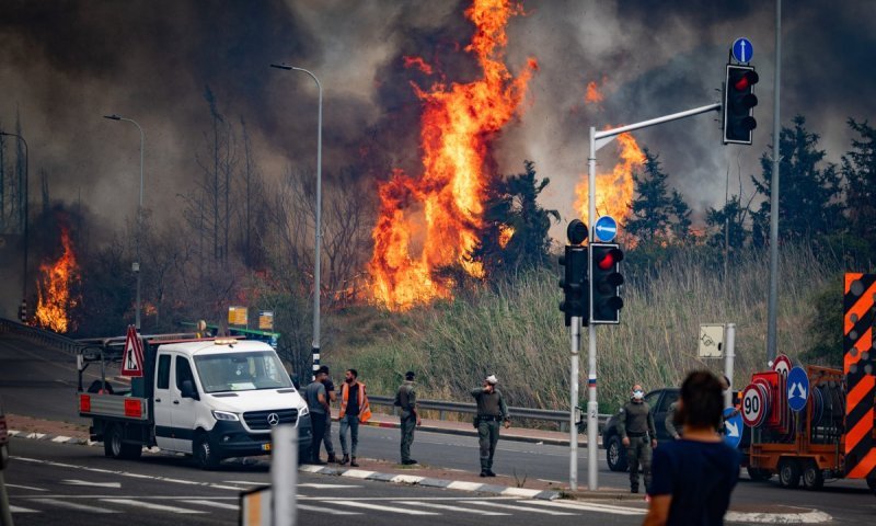 ההרס בהרי ירושלים: נזקי השריפה עלולים להגיע למיליארד שקל