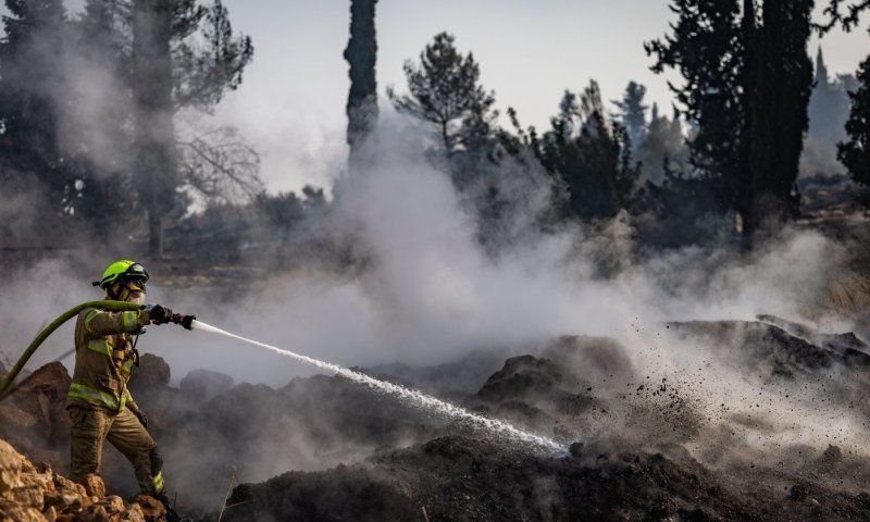 בין להבות ללקחים: כך נמנע אסון הכרמל הבא