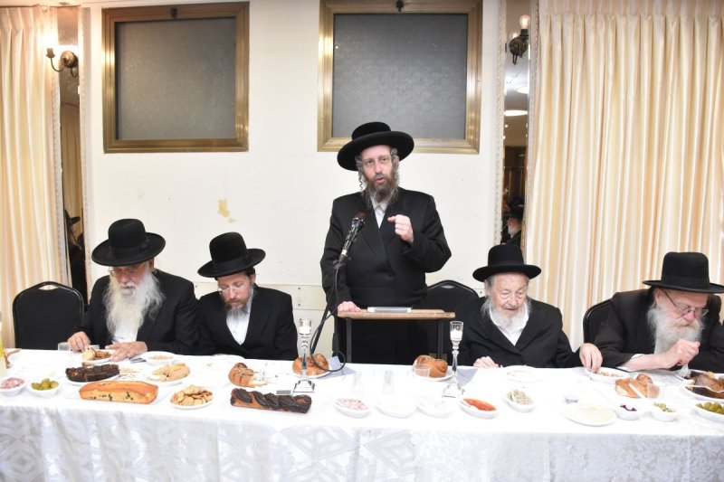 יהודה פרקוביץ