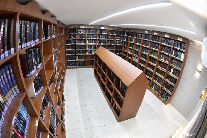 יהודה פרקוביץ