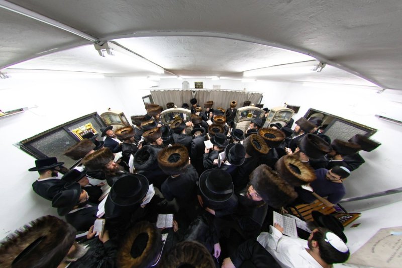 משה גולדשטיין