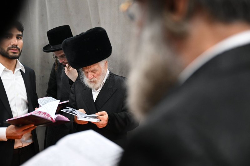 משה גולדשטיין