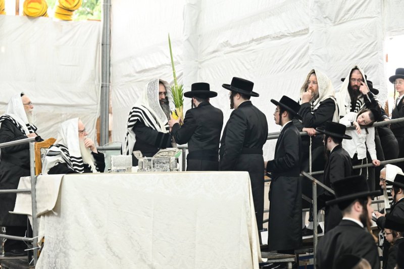 משה גולדשטיין