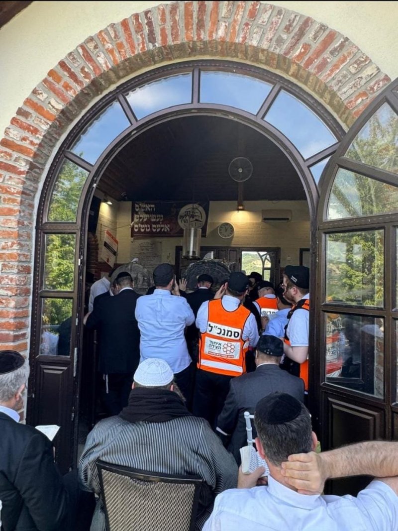 דוברות איחוד הצלה