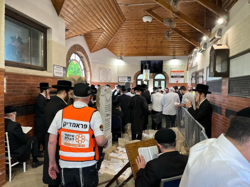 דוברות איחוד הצלה