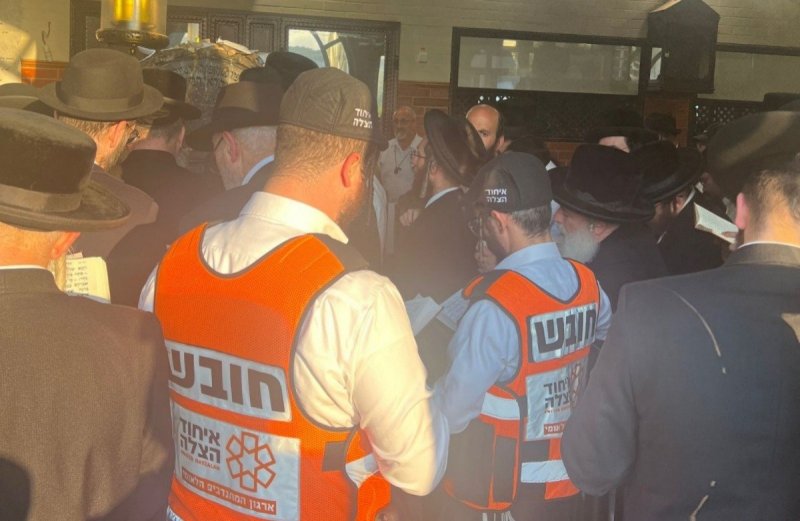 דוברות איחוד הצלה