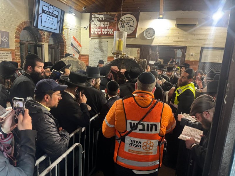 דוברות איחוד הצלה