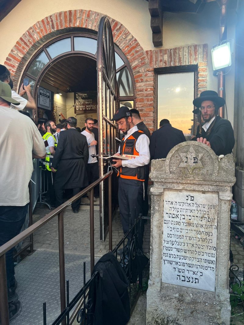 דוברות איחוד הצלה