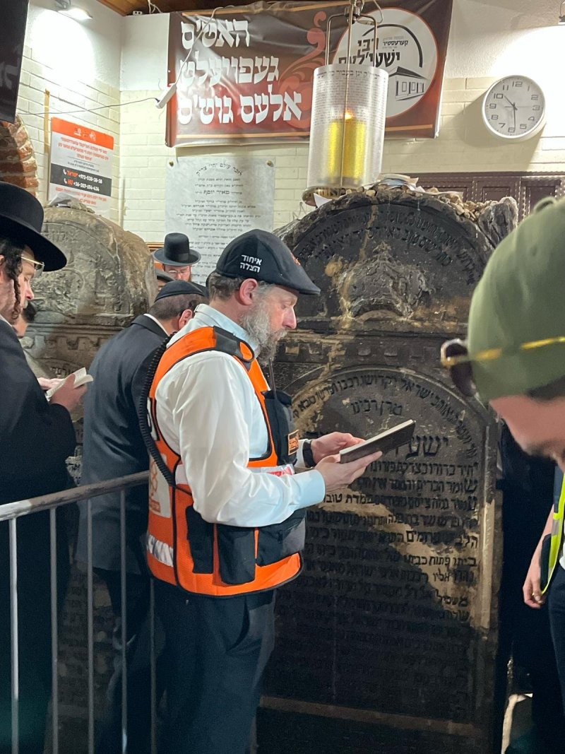 דוברות איחוד הצלה