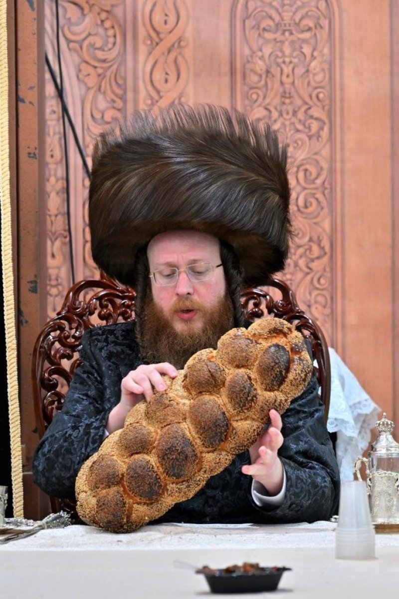 יהושע פרוכטר