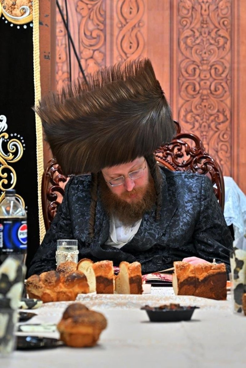 יהושע פרוכטר