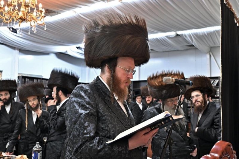 יהושע פרוכטר