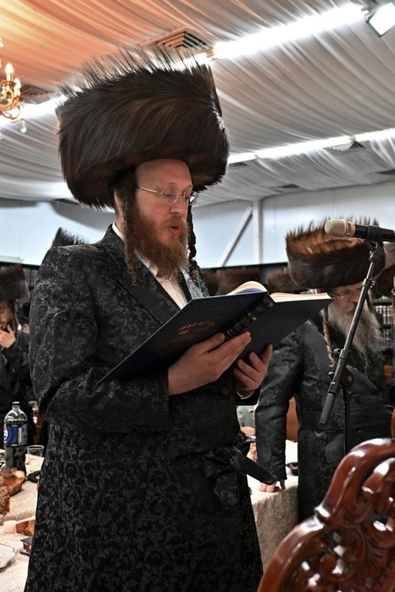 יהושע פרוכטר