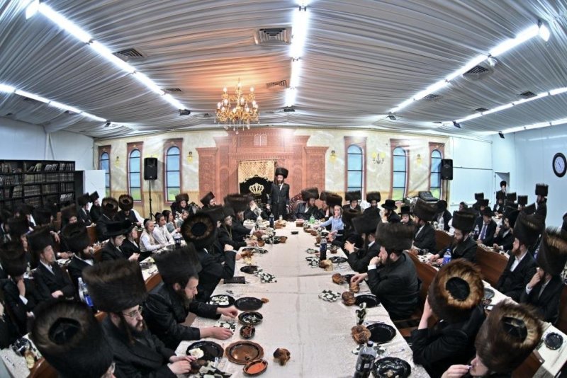 יהושע פרוכטר