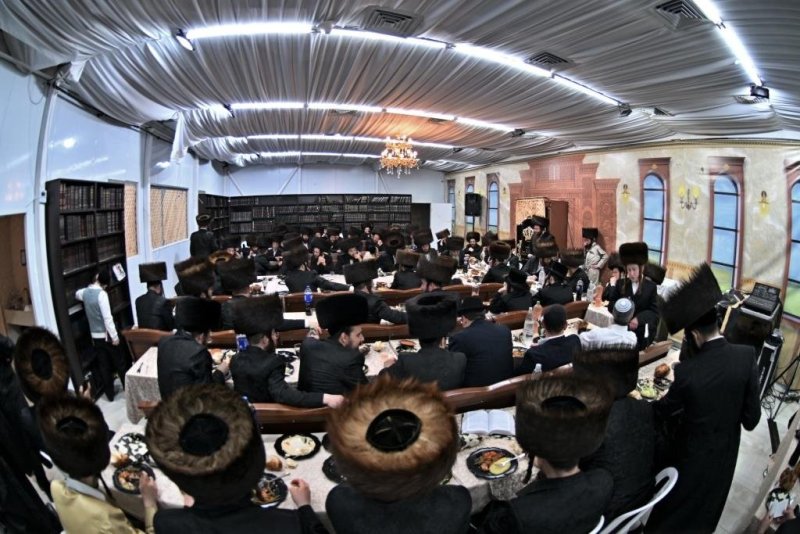 יהושע פרוכטר