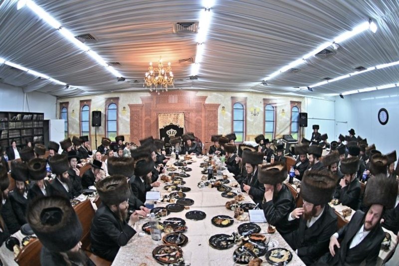 יהושע פרוכטר