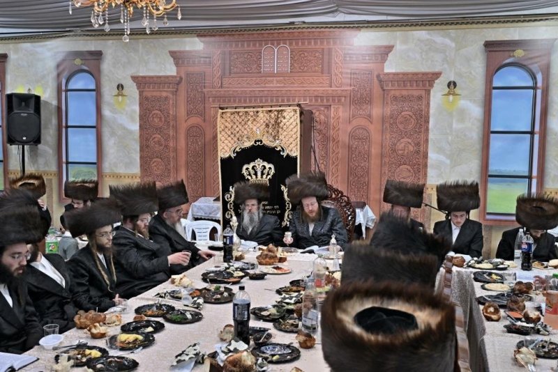 יהושע פרוכטר