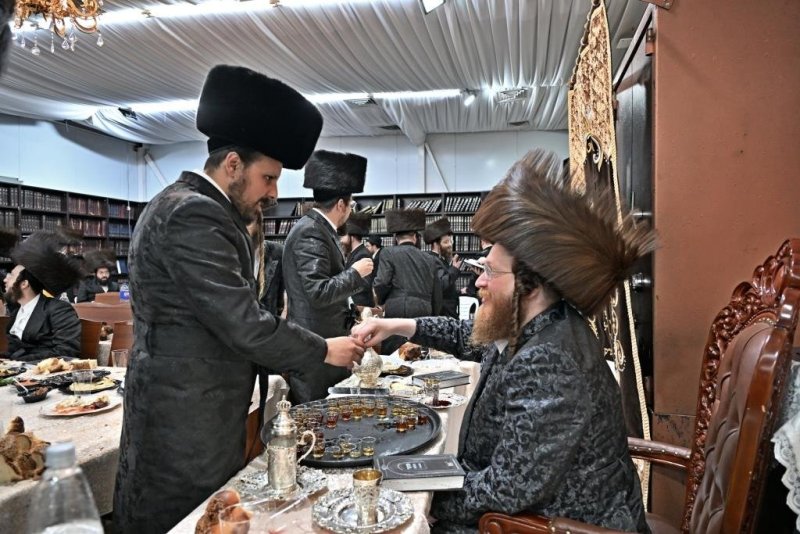 יהושע פרוכטר