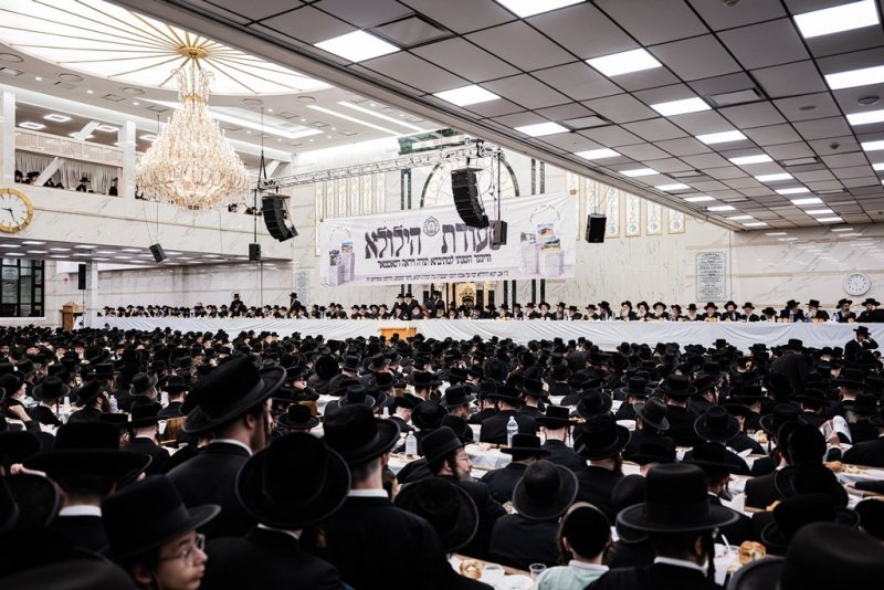 י. שטיין