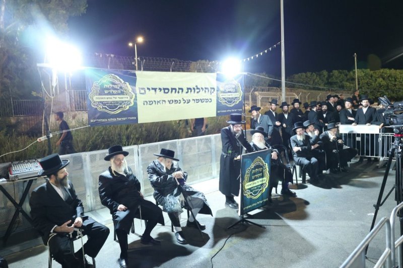 קובי הר צבי