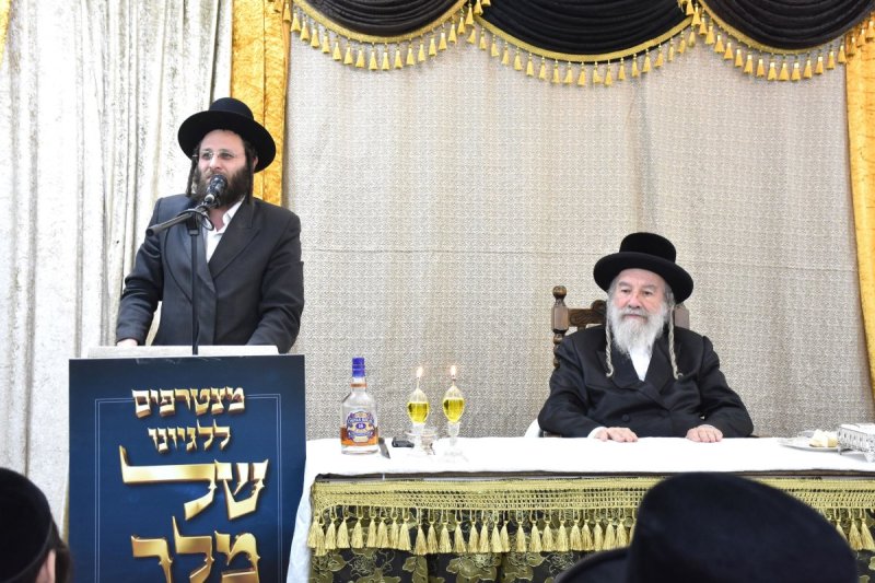 יהודה פרקוביץ