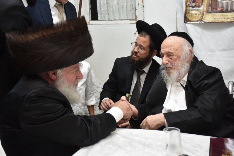 יהודה פרקוביץ