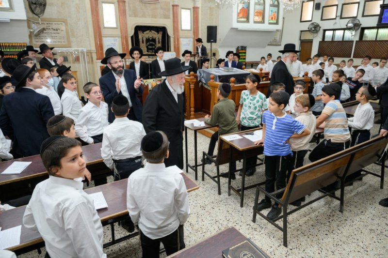 מנדי רוט