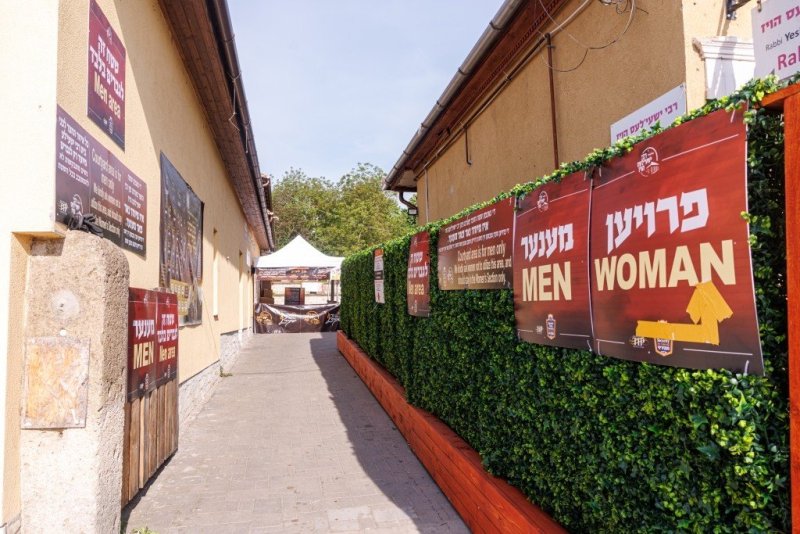 האחים לענטשעווסקי