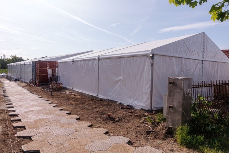 האחים לענטשעווסקי