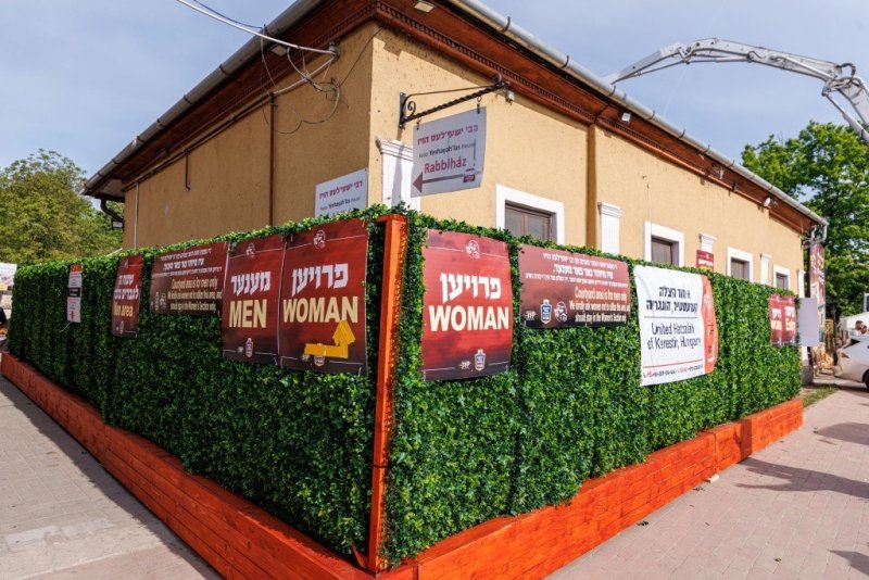 האחים לענטשעווסקי