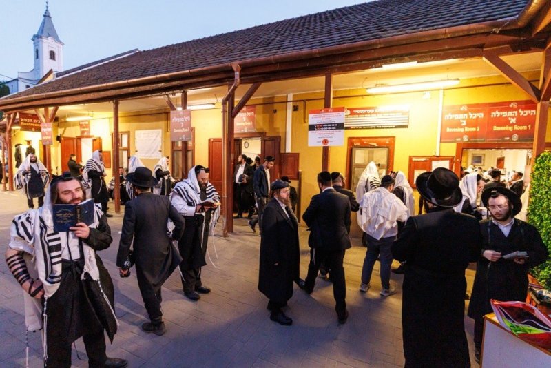 האחים לענטשעווסקי