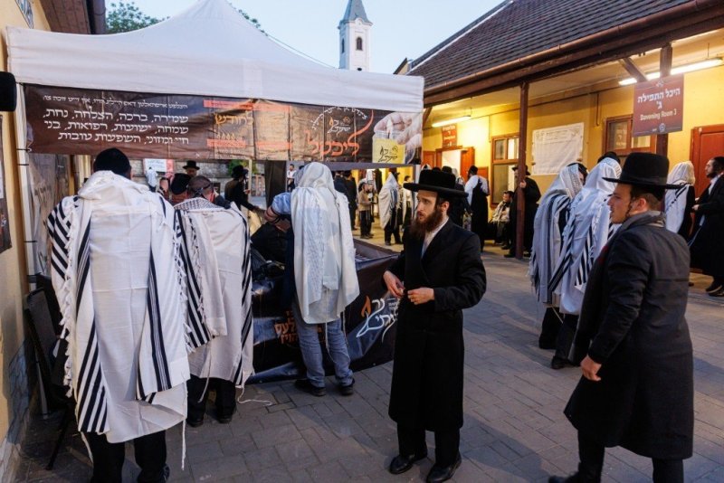 האחים לענטשעווסקי