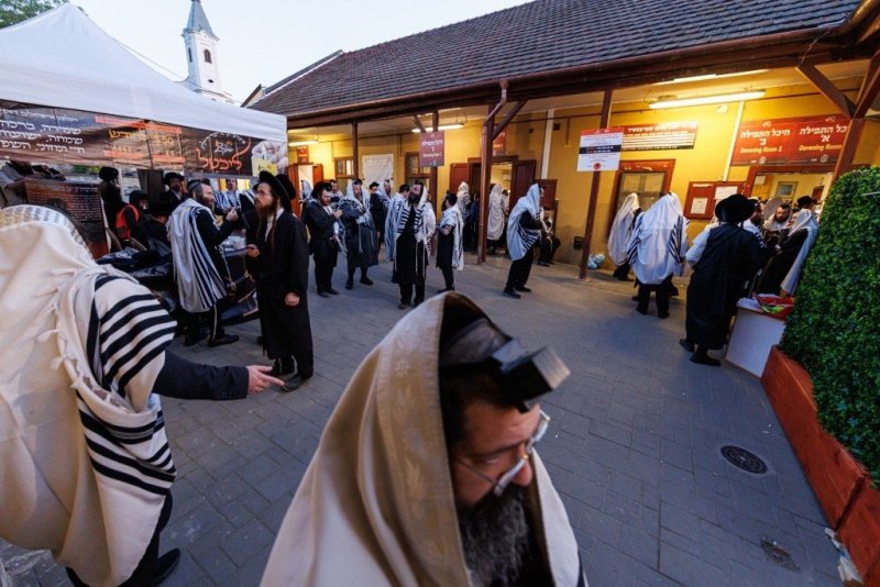 האחים לענטשעווסקי