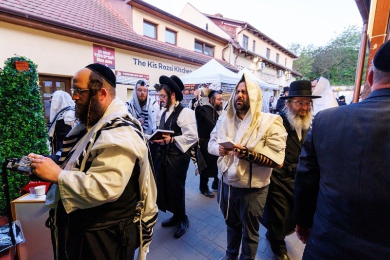 האחים לענטשעווסקי