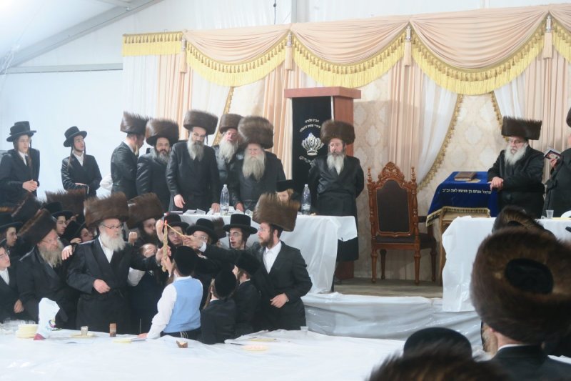 מ. אדלר