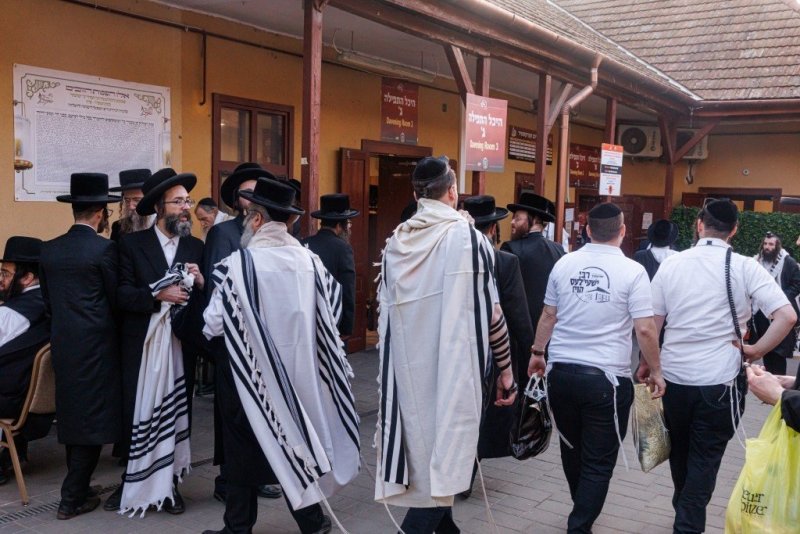 האחים לענטשעווסקי