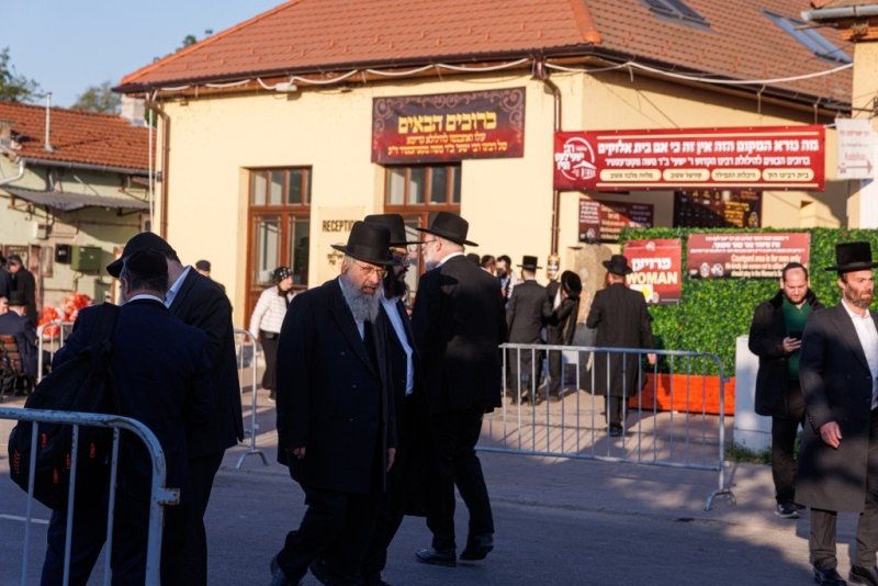 האחים לענטשעווסקי