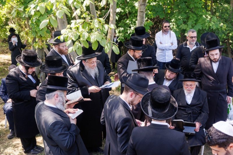 האחים לענטשעווסקי